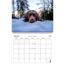 Load image into Gallery viewer, 3d7b92c3-202f-46b5-92e8-3254c5b32fdc