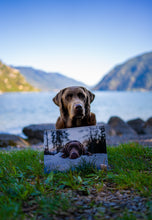 Load image into Gallery viewer, 77607fb8-15b2-492d-b670-6eb77e496662