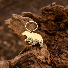 Load image into Gallery viewer, Katmai National Park