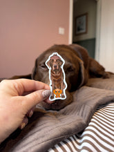 Load image into Gallery viewer, Hectorthechocolabo Inspector Hector AND Strawberry Heccy sticker pack