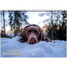 Load image into Gallery viewer, b94df885-bfc1-4e49-a0f3-36c282159e9d