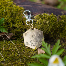 Load image into Gallery viewer, Hexagon Breed