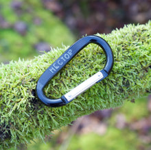 Load image into Gallery viewer, Large Carabiner