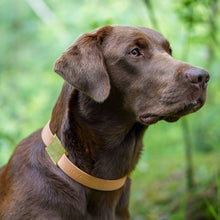 Load image into Gallery viewer, Working Dog Tag