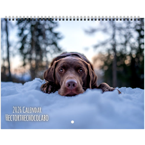 0b8bdf3f-1f80-4845-99b3-843a6640c6dc