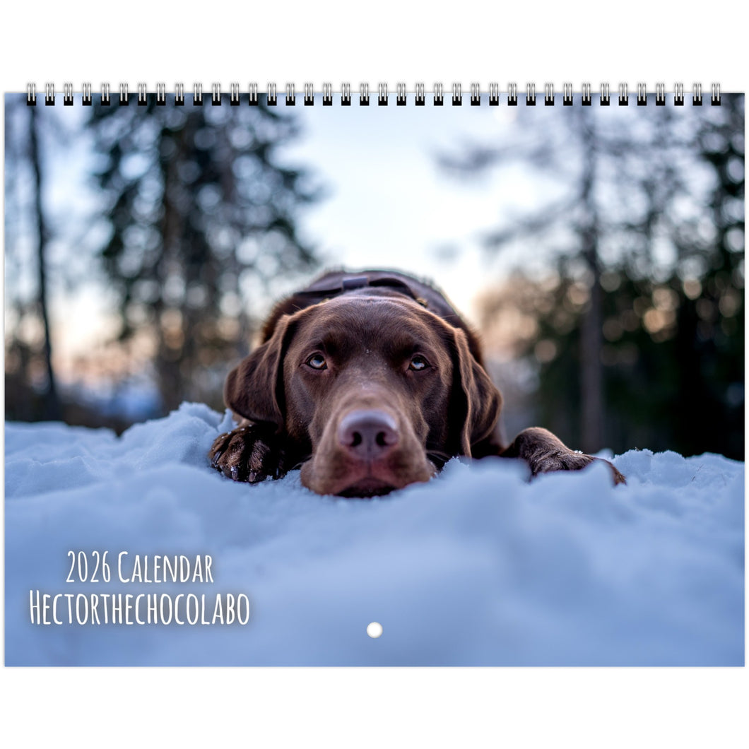 0b8bdf3f-1f80-4845-99b3-843a6640c6dc