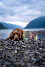 Load image into Gallery viewer, Hectorthechocolabo Calendar 2025 US &amp; CANADA
