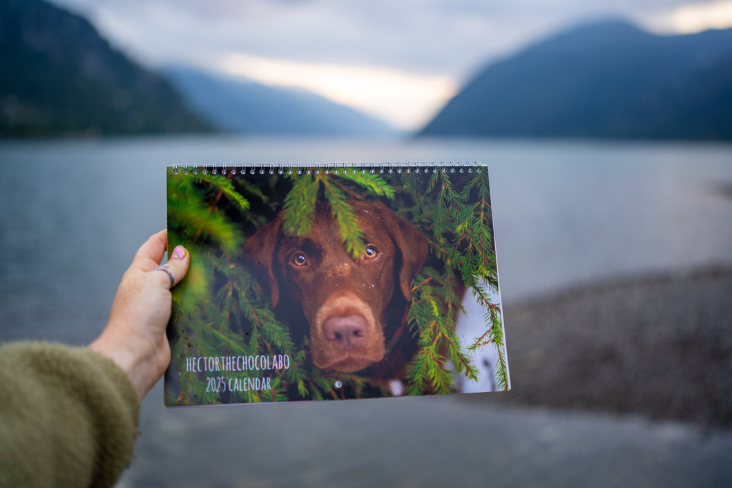 Hectorthechocolabo Calendar 2025 US & CANADA