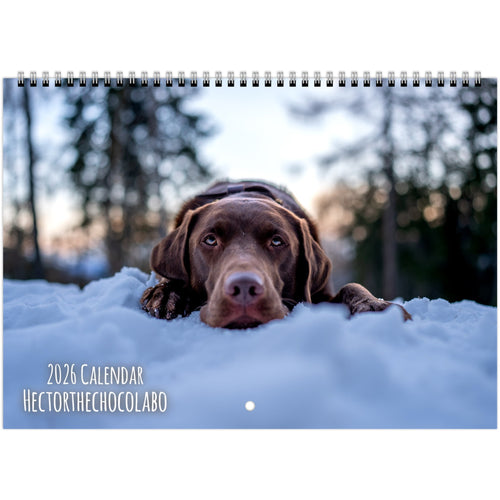 b94df885-bfc1-4e49-a0f3-36c282159e9d