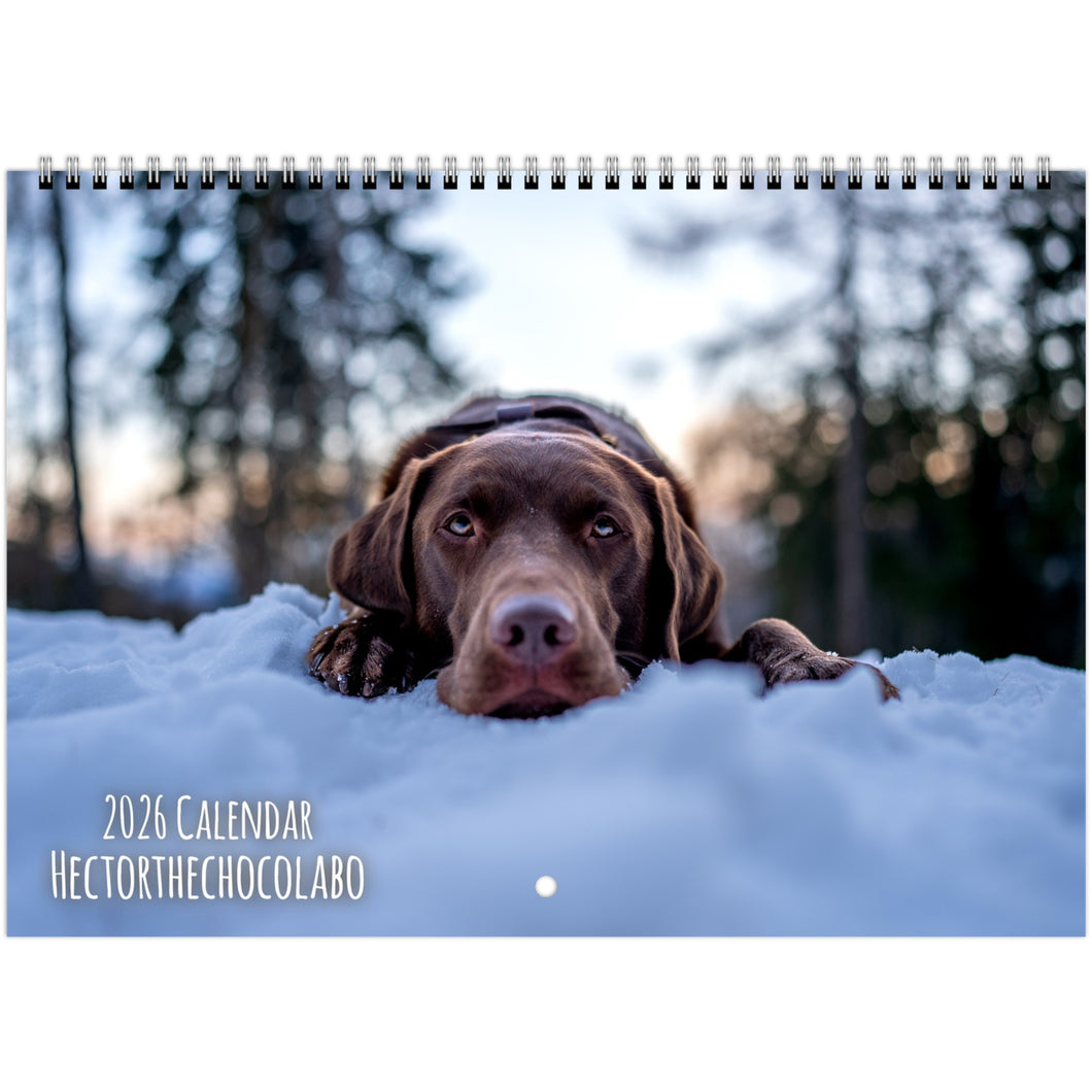 b94df885-bfc1-4e49-a0f3-36c282159e9d