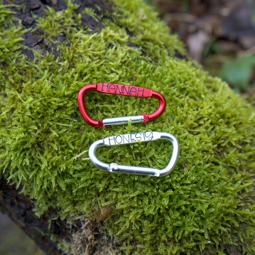 Small Carabiner